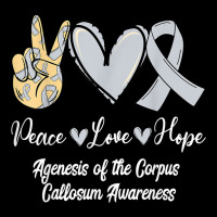 Agenesis Of The Corpus Callosum Acc Love Hope Silver Ribbon T Shirt Youth Hoodie | Artistshot