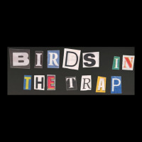 Birds In The Trap Sticker V-neck Tee | Artistshot