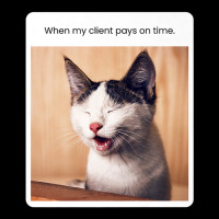 Funny Cat Meme When My Client Pays On Time Freelancers Premium T Shirt Baby Bibs | Artistshot