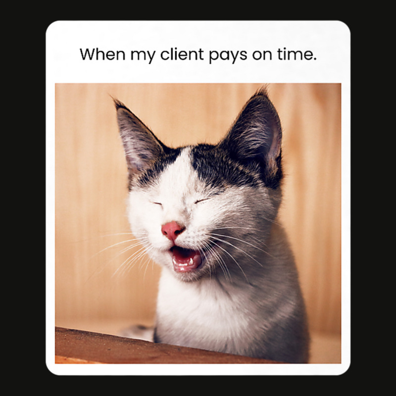 Funny Cat Meme When My Client Pays On Time Freelancers Premium T Shirt Scorecard Crop Tee by cm-arts | Artistshot