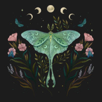 Luna Moth Luna And Forester Hoodie & Jogger Set | Artistshot