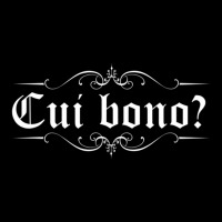 Latin Saying Cui Bono Youth Sweatshirt | Artistshot