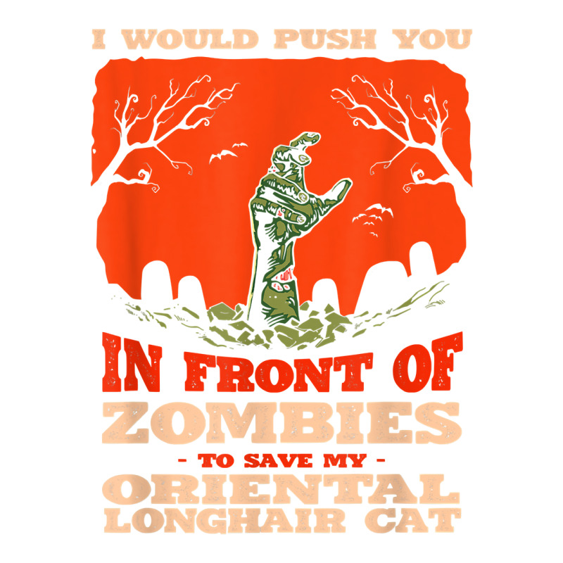 10548100070^push You In Zombies To Save My Oriental Longhair T Shirt Youth Tee | Artistshot