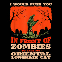 10548100070^push You In Zombies To Save My Oriental Longhair T Shirt Toddler 3/4 Sleeve Tee | Artistshot