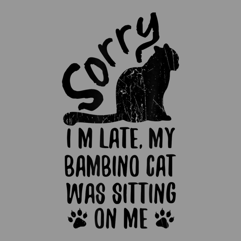 I'm Late My Bambino Cat Was Sitting On Me Funny Cat Lover T Shirt Women's V-Neck T-Shirt by cm-arts | Artistshot