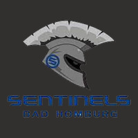 Bad Homburg Sentinels Champion Hoodie | Artistshot