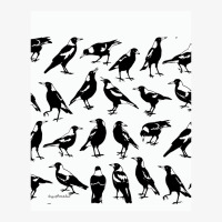 Australian Magpies - Tee Shirts, Other Apparel  Amp  Homewares Graphic Ladies Fitted T-shirt | Artistshot