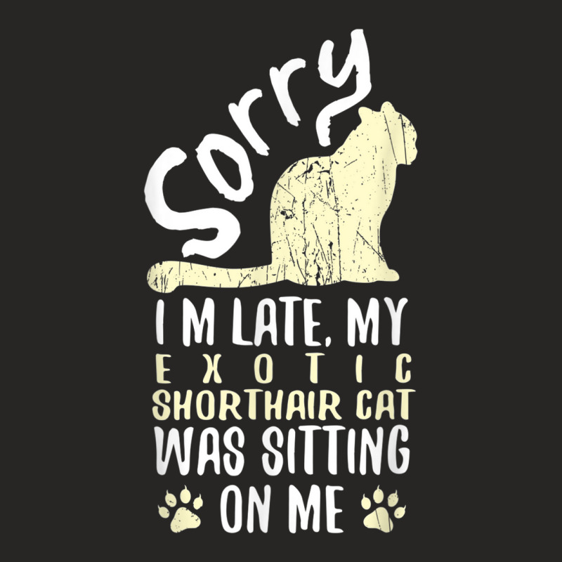 I'm Late My Exotic Shorthair Cat Was Sitting On Me Funny Ladies Fitted T-Shirt by Color | Artistshot