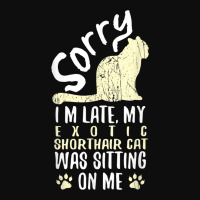 I'm Late My Exotic Shorthair Cat Was Sitting On Me Funny Crop Top | Artistshot