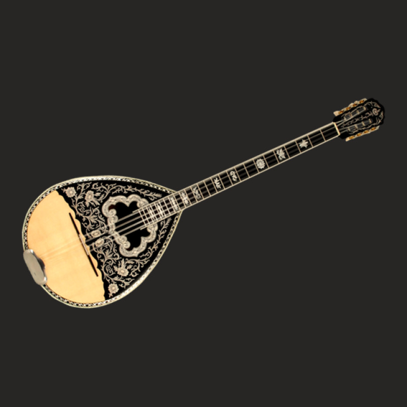 Wonderful Greek Bouzouki 8 Strings Ladies Fitted T-Shirt by DonnieCarlson | Artistshot