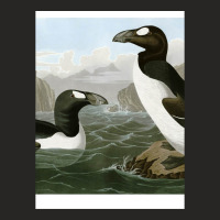 Seabirds - John James Audubon Ladies Fitted T-shirt | Artistshot