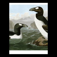 Seabirds - John James Audubon Legging | Artistshot