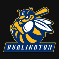 The Burlington Bees Oval Patch | Artistshot