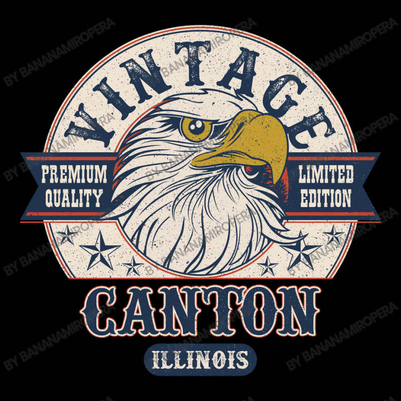 Retro Bald Eagle Canton Illinois Vintage Limited Edition Women's V-neck T-shirt | Artistshot