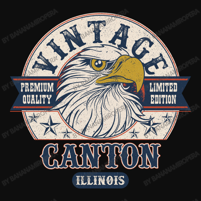 Retro Bald Eagle Canton Illinois Vintage Limited Edition Crop Top | Artistshot