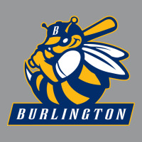 Burlington Bees (1) Crewneck Sweatshirt | Artistshot