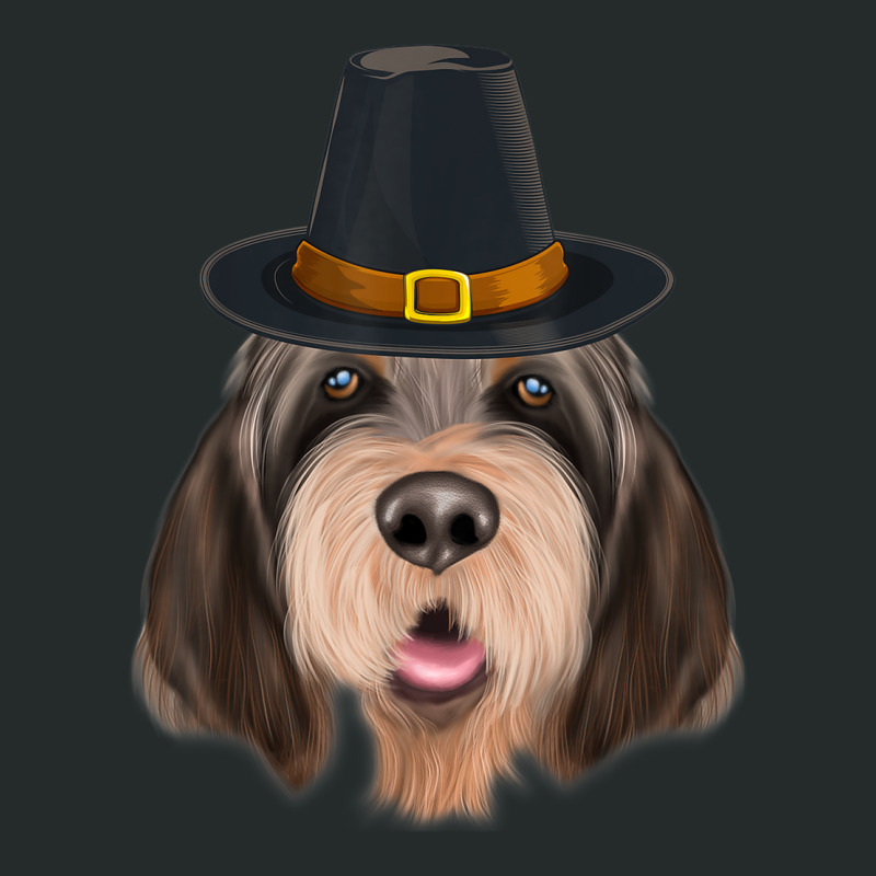 Otterhound Wearing Pilgrim Hat Thanksgiving Women's Triblend Scoop T-shirt by Posh | Artistshot