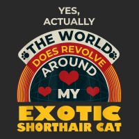 The World Revolves Around My Exotic Shorthair Cat Funny T Shirt Printed Hat | Artistshot