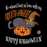 Oriental Longhair   Cat Lover Not A Wizard Funny Halloween T Shirt Long Sleeve Shirts | Artistshot