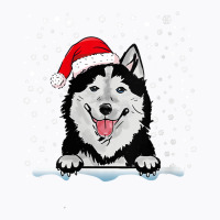 Womens Alaskan Klee Kai Dog Christmas Santa Hat Matching Family V Neck T-shirt | Artistshot