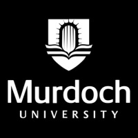 Murdoch University Adjustable Cap | Artistshot