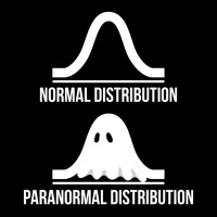 Halloween   Normal Distribution Paranormal Funny Math Long Sleeve T Sh Lightweight Hoodie | Artistshot