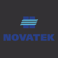 Fascinating Novatek Vintage Hoodie | Artistshot