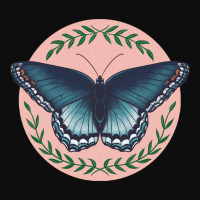 Butterfly Limenitis Arthemis Butterfly Illustration Crop Top | Artistshot