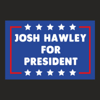 Josh Hawley For President Ladies Fitted T-shirt | Artistshot