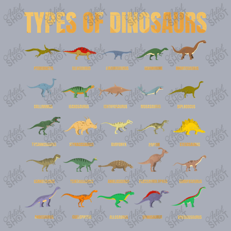 Types Of Dinosaurs Dino Identification Rex Dinosaur Type Tank Dress by ValentinoHoover | Artistshot