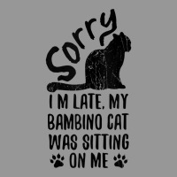 I'm Late My Bambino Cat Was Sitting On Me Funny Cat Lover Tank Top Women's V-neck T-shirt | Artistshot