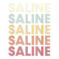 Saline Michigan Saline Mi Retro Vintage Text Sticker | Artistshot