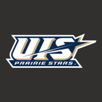 University Of Illinois At Springfield Prairie Stars Champion Hoodie | Artistshot