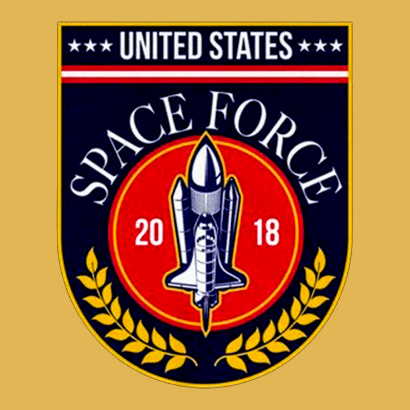 United States Space Force, United, States, Space, Force, United States Vintage Hoodie And Short Set by SHBVJN | Artistshot