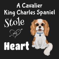 Cavalier King Charles Spaniel My Cavalier King Charles Spaniel Stole M Classic T-shirt | Artistshot