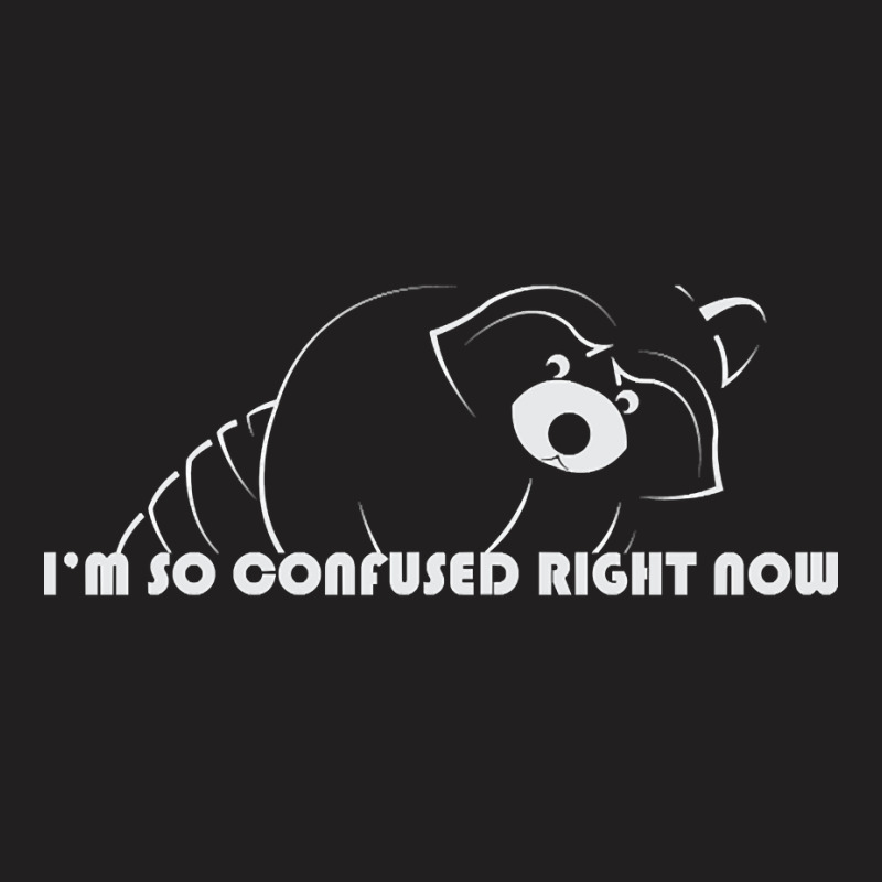 Raccoon - Im So Confused Right Now - 02 T-shirt | Artistshot