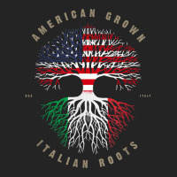 American Grown Italian Roots Italy Flag T Shirt T Shirt 3/4 Sleeve Shirt | Artistshot