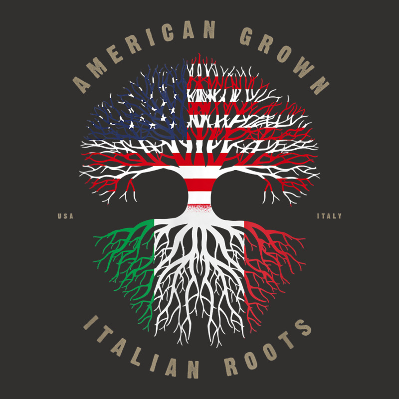 American Grown Italian Roots Italy Flag T Shirt T Shirt Champion Hoodie by hapusajehae | Artistshot