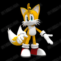 Tails Ruins Legging | Artistshot