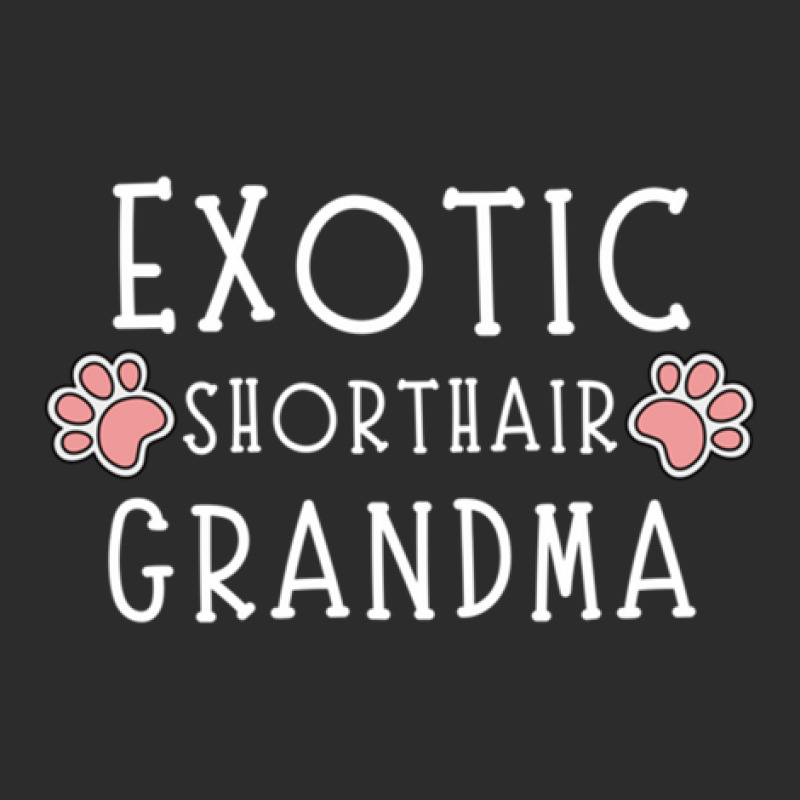 Exotic Shorthair Grandma Exclusive T-shirt by SheilaMathews | Artistshot