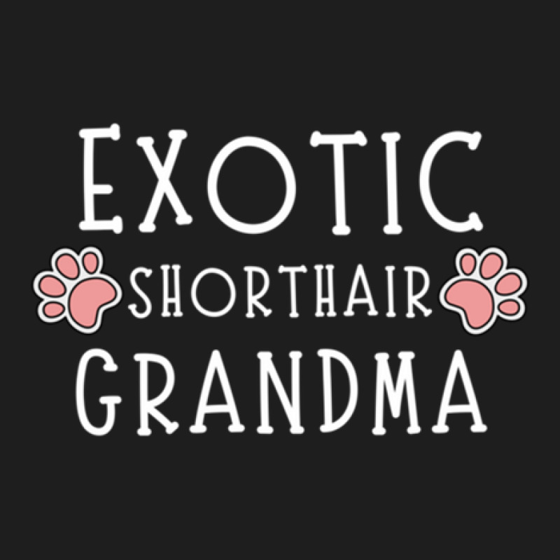 Exotic Shorthair Grandma Classic T-shirt by SheilaMathews | Artistshot