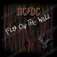 A.c.d.c Fly On The Wall Album Adjustable Cap | Artistshot