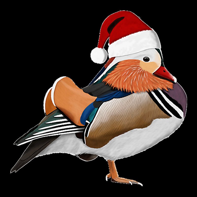 Mandarin Duck Christmas Bird Santa Claus Biologist Animal Premium Adjustable Cap by ROGERWILLIAMWARD | Artistshot