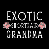 Exotic Shorthair Grandma Pocket T-shirt | Artistshot