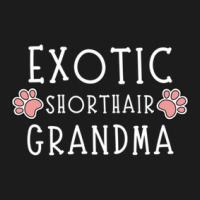 Exotic Shorthair Grandma Hoodie & Jogger Set | Artistshot