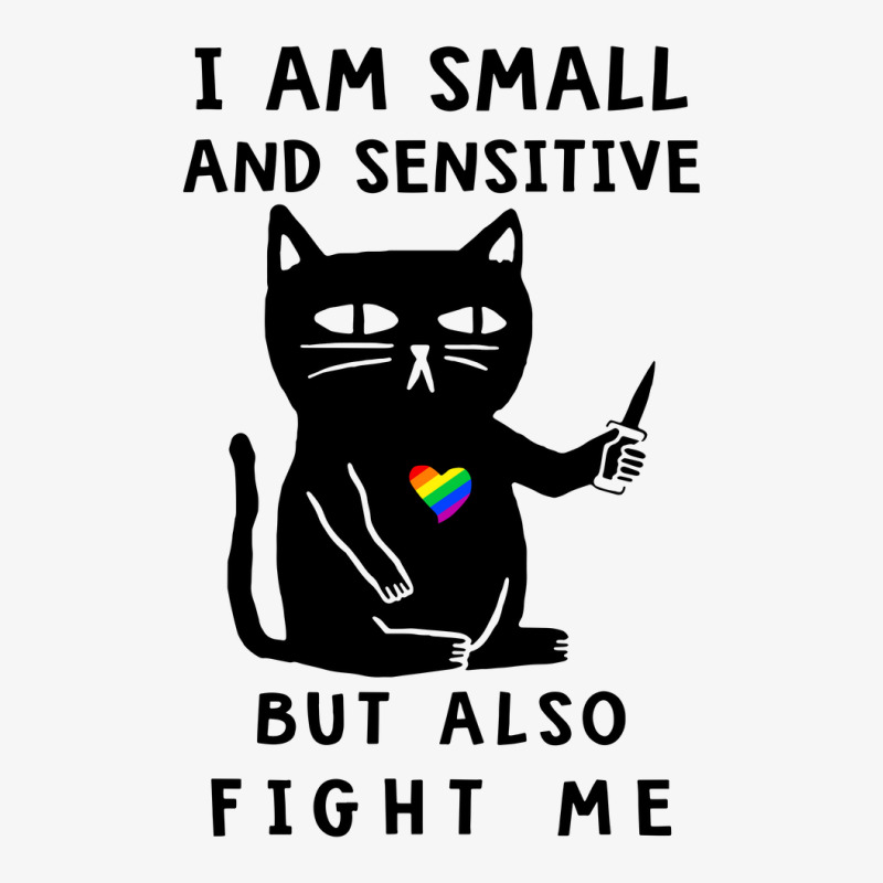 Lgbt Cat I Am Small And Sensitive But Also Fight Me Pride Ladies Fitted T-Shirt by coolquirrell | Artistshot