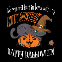 Exotic Shorthair   Cat Lover Not A Wizard Funny Halloween Toddler Sweatshirt | Artistshot