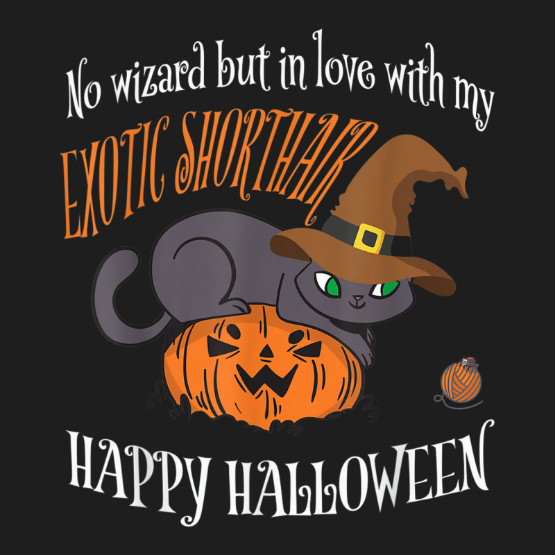 Exotic Shorthair   Cat Lover Not A Wizard Funny Halloween Classic T-shirt by Fashonus | Artistshot