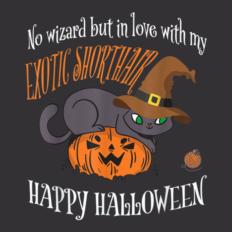 Exotic Shorthair   Cat Lover Not A Wizard Funny Halloween Vintage Hoodie And Short Set by Fashonus | Artistshot