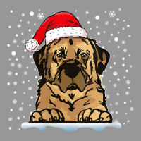 Womens Anatolian Shepherd Dog Christmas Santa Hat Matching Family V Ne Women's V-neck T-shirt | Artistshot